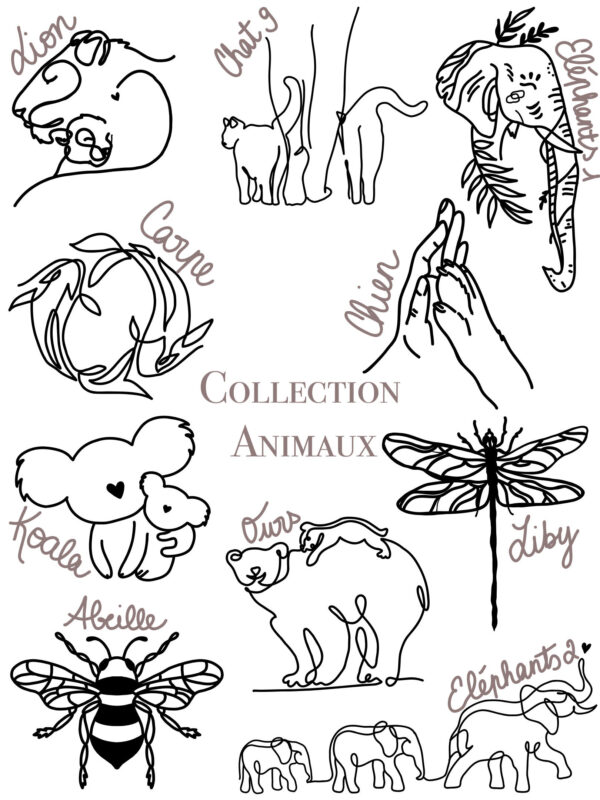 Collection Animaux – Image 3